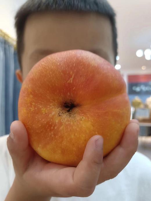 山东蒙阴彩虹油蟠桃4.5斤装(13-16个） 商品图5