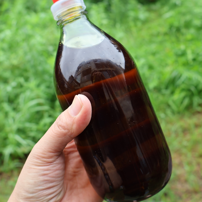 【农家菜籽油】新菜籽 共5瓶（1斤/瓶）热榨