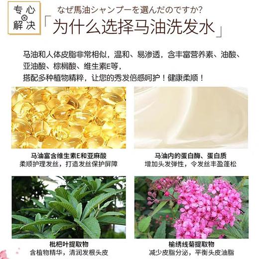 蝶印 马油洗发水（清爽型）600ml【宝库优选】 商品图3