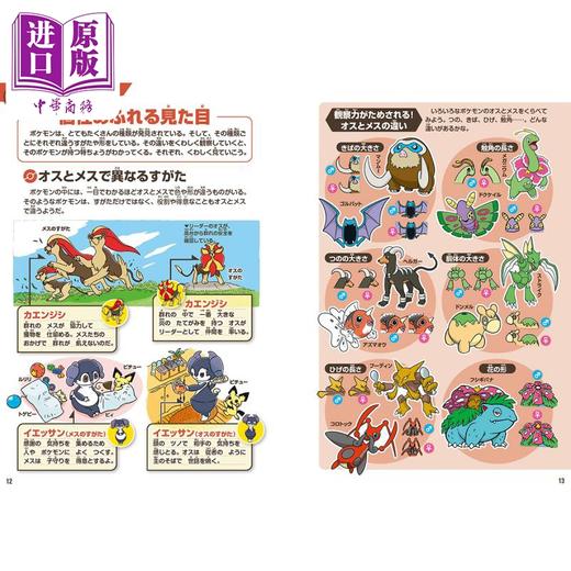 【中商原版】宝可梦生态图鉴 精灵宝可梦 口袋妖怪 日文原版日韩 ポケモン生態図鑑 商品图4