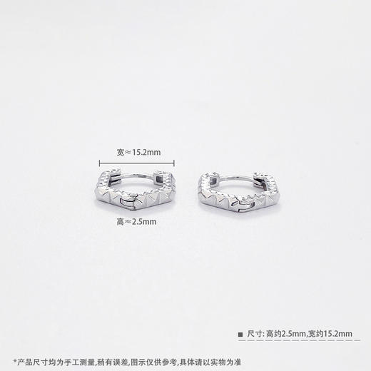 【限时8.8折】【线上铂金馆】PT950 【国际铂金协会 精品】铂金空心六边形耳饰耳圈(ACPTES00010)预售产品下单后不退款不退货不换货不补差价) 商品图3