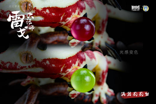 模捞捞·睫角守宫Reg “白日梦想家”系列第③弹 - 法师梦 潮玩手办桌面摆件爬宠模型周边★官方正版【48小时发货】 商品图1