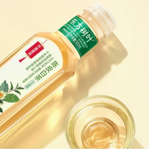 东方树叶 陈皮白茶500ml 商品图3
