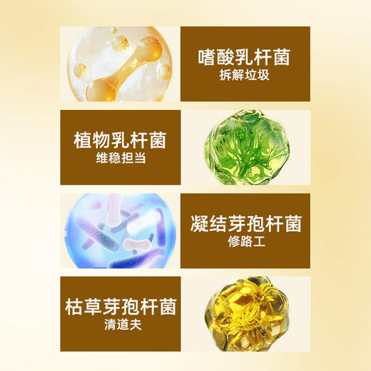 宝莱美露宠物狗狗壮骨钙粉400g 肠胃宝粉补钙保健品营养品大骨钙 商品图2