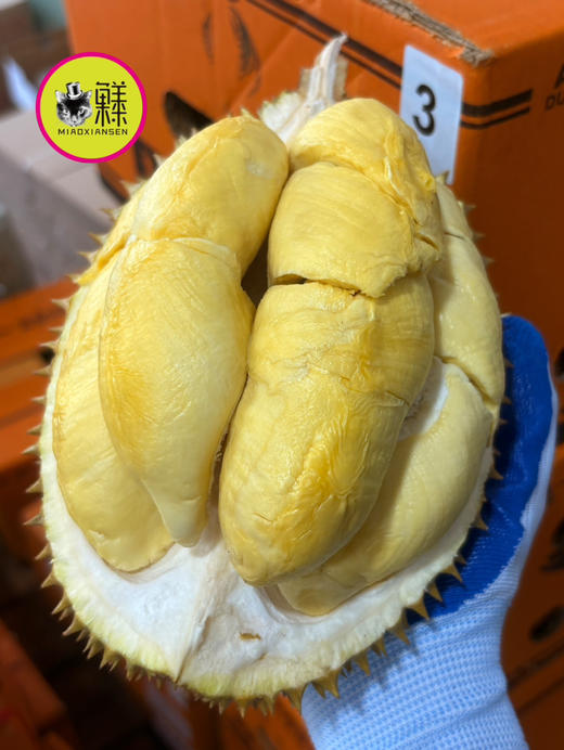 【次日达】喵暹罗✈️🇹🇭【珑啦咧】榴莲鲜果（花香榴莲，核巨小） 商品图2