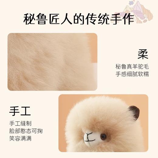 【订单实付低于299元，不发货】温暖驼 小胖子羊驼毛绒玩偶-粉色  6972796113650-F . 商品图2
