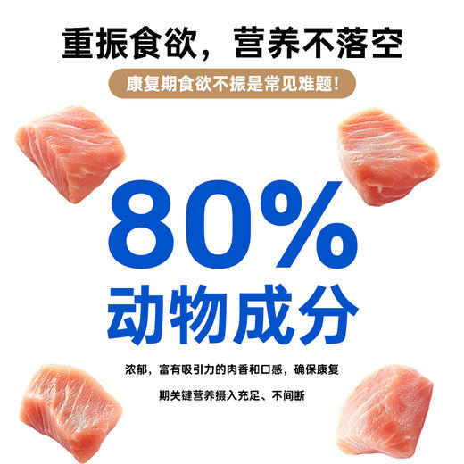 雷米高猫咪罐头猫用冬瓜鸡汤补水罐宠物零食营养湿粮成幼猫170g嘘呗汤罐 商品图5