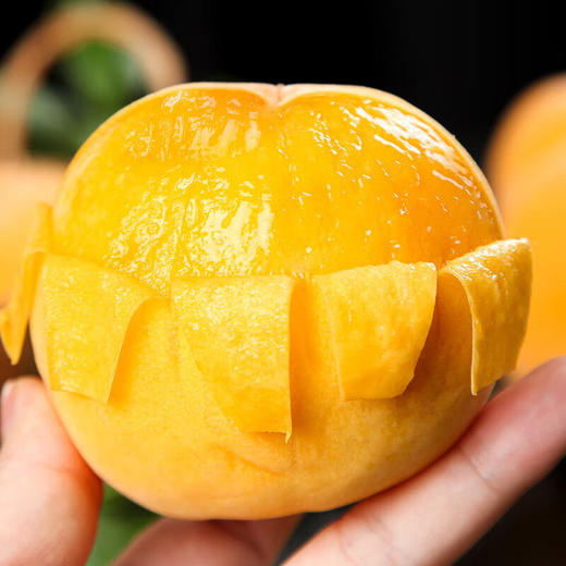 河南黄金蜜黄桃  大果200-350g 商品图1