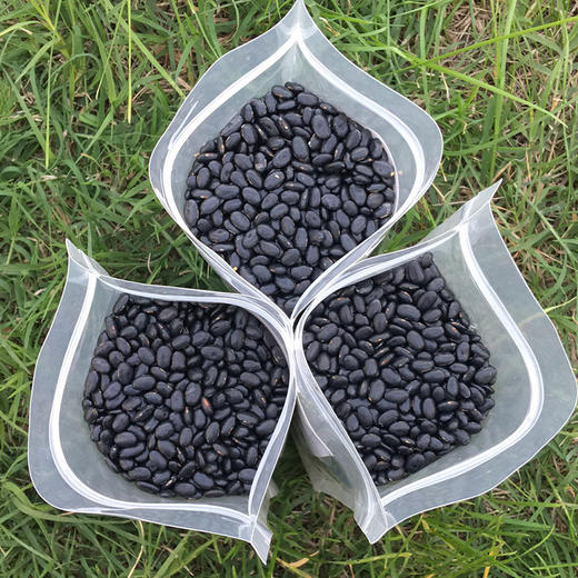 陕北农家绿豆+小黑豆+老品种黄豆【6斤包邮】 商品图8