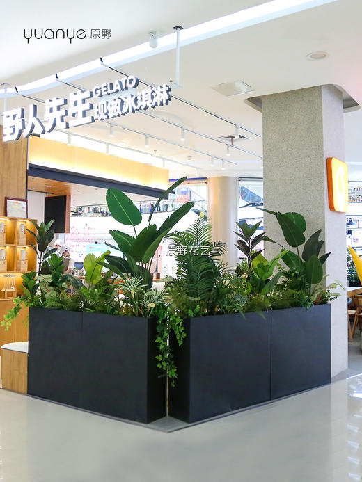 高仿真植物造景定制设计/商场家居多场景生态景观搭建+一站式安装（具体价格可咨询商家） 商品图2
