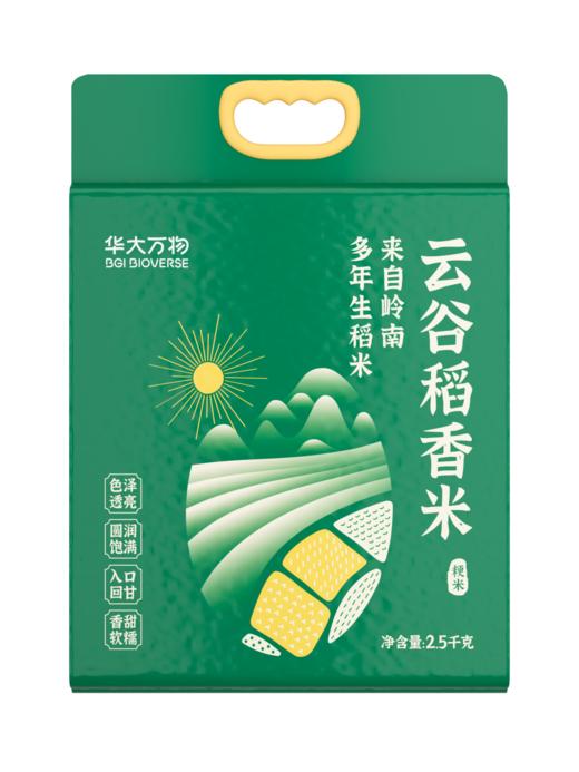 【云谷稻香米】【华大万物】来自岭南多年生稻米 2.5千克/袋 香甜软糯 入口回甘！ 商品图5