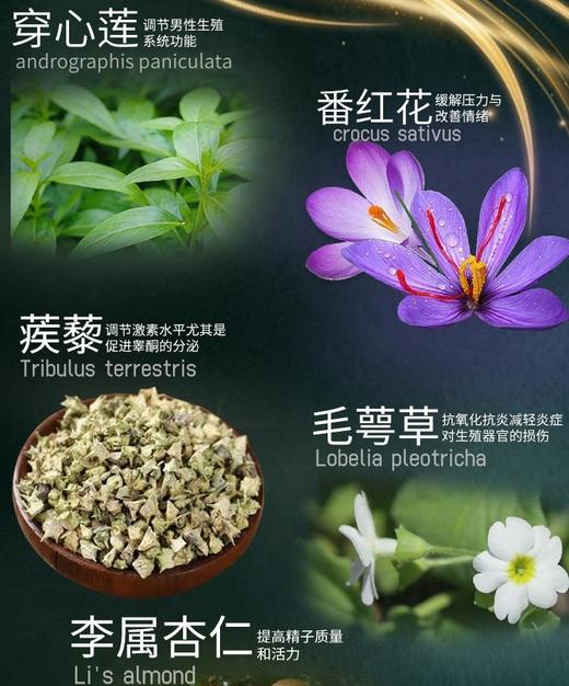 【保税仓】Himalaya喜马拉雅活力片10粒 商品图2