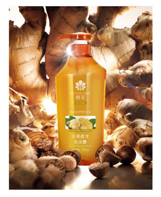 蜂花生姜健发洗发露 商品图0