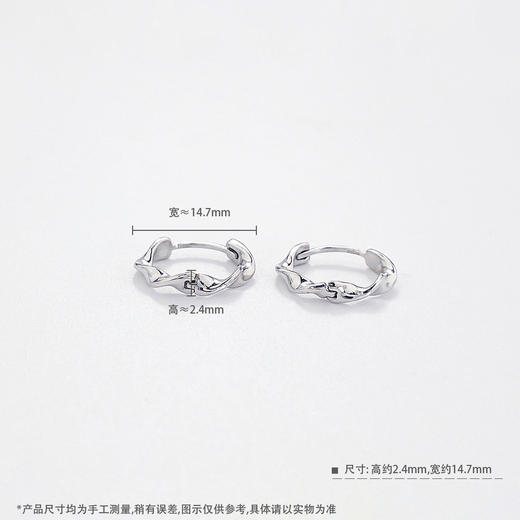 【限时8.8折】【线上铂金馆】PT950 #莫比乌斯 【国际铂金协会 精品】铂金实心莫比乌斯环耳饰耳圈(ACPTES00008)预售产品下单后不退款不退货不换货不补差价) 商品图3