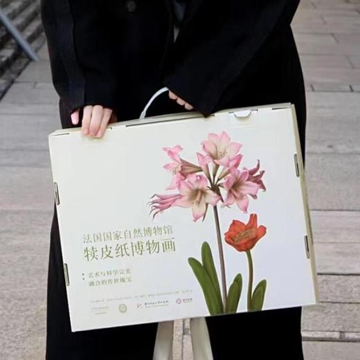 《法国国家自然博物馆犊皮纸博物画：艺术与科学完美融合的传世瑰宝》 商品图6