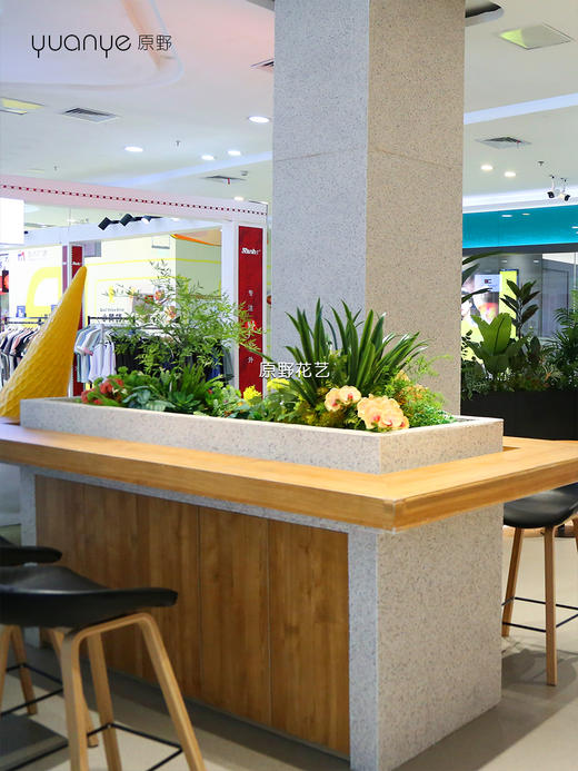 高仿真植物造景定制设计/商场家居多场景生态景观搭建+一站式安装（具体价格可咨询商家） 商品图7