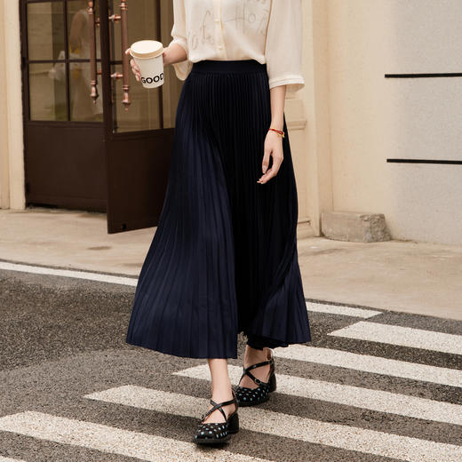 谜底百褶裙半身裙女2025秋季新款气质松紧腰大摆裙半裙257MB7744 商品图1