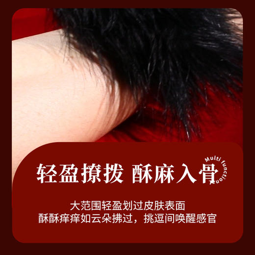 谜姬挑逗羽毛棒SM道具蓬松羽毛轻柔饱满情趣用品成人玩具 商品图1