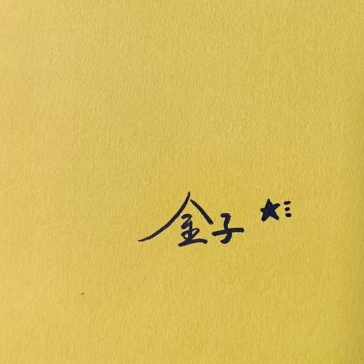 签名版｜金子《还可以的金女士》 商品图1