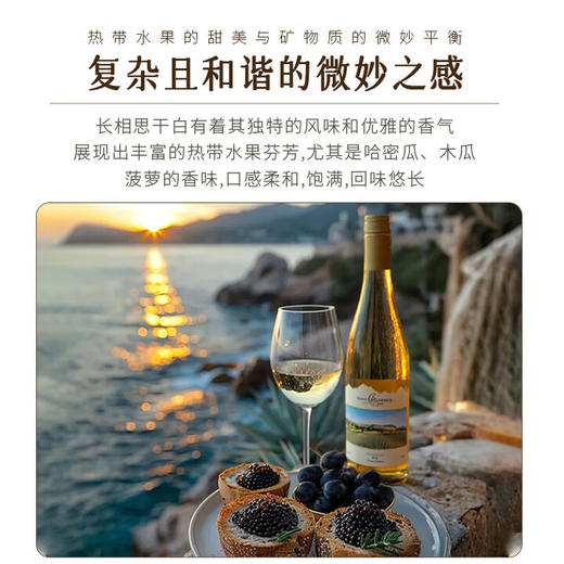 【名师酿造】新西兰原瓶进口马尔堡长相思干白葡萄酒  马尔堡长相思 13%vol 商品图3