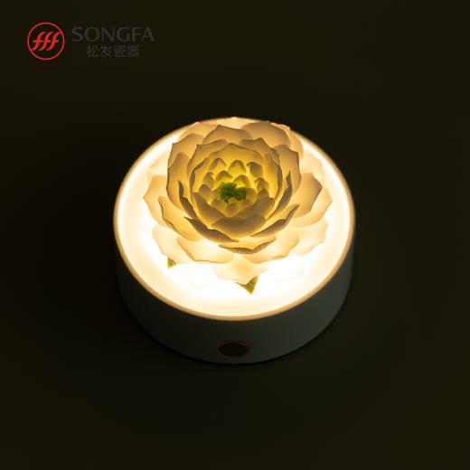 手捏瓷花艺术灯 商品图2