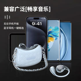 塞尔兰斯开放式舒适挂耳HIFI震撼音质全新蓝牙耳机时尚包包耳机 