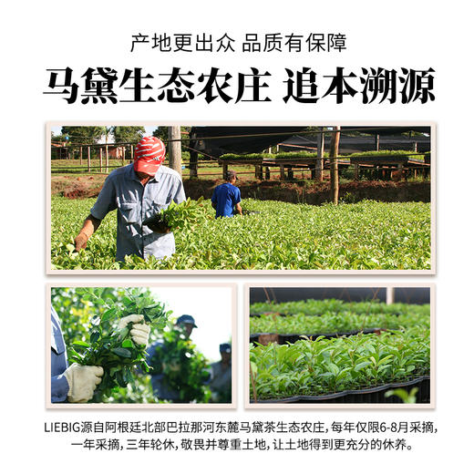 PLAYADITO帕拉蒂托 阿根廷原装进口马黛茶 “始于1926年 阿根廷国宝”500g/袋 商品图3