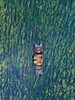 泸沽湖+西昌邛海4日游【业主专团】纯玩0购物 小区接送-成都-西昌双动 【旅游】 商品缩略图6