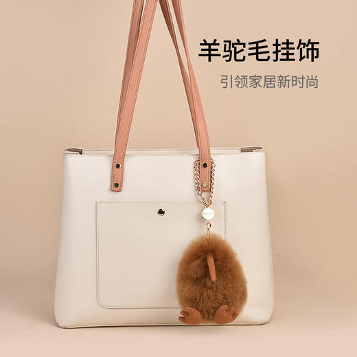 【订单实付低于299元，不发货】温暖驼 小几维鸟毛绒玩偶挂饰  6972796112875-F . 商品图3