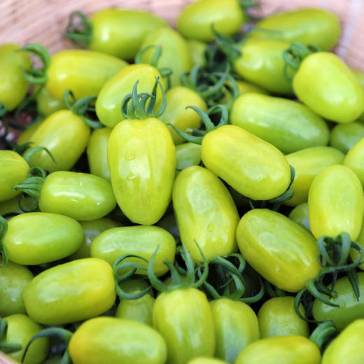 云南葡萄小番茄  500g/盒*2盒 商品图3