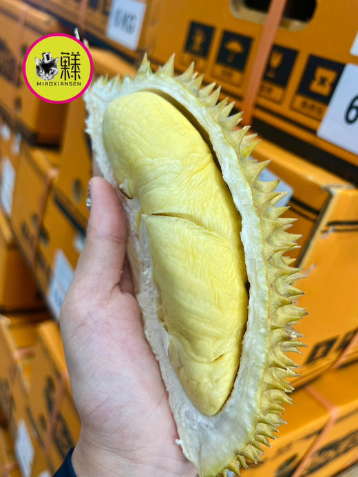 【次日达】喵暹罗✈️🇹🇭【珑啦咧】榴莲鲜果（花香榴莲，核巨小） 商品图4