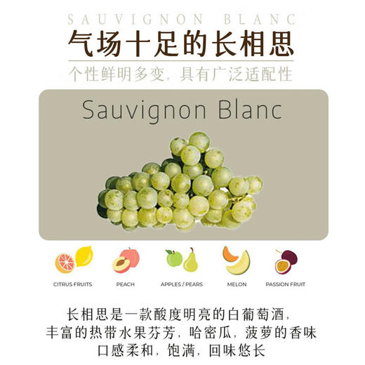 【名师酿造】新西兰原瓶进口马尔堡长相思干白葡萄酒  马尔堡长相思 13%vol 商品图5