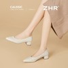 ZHR温柔优雅粗跟浅口单鞋两穿尖头2025新款通勤气质高跟鞋职业女 商品缩略图5