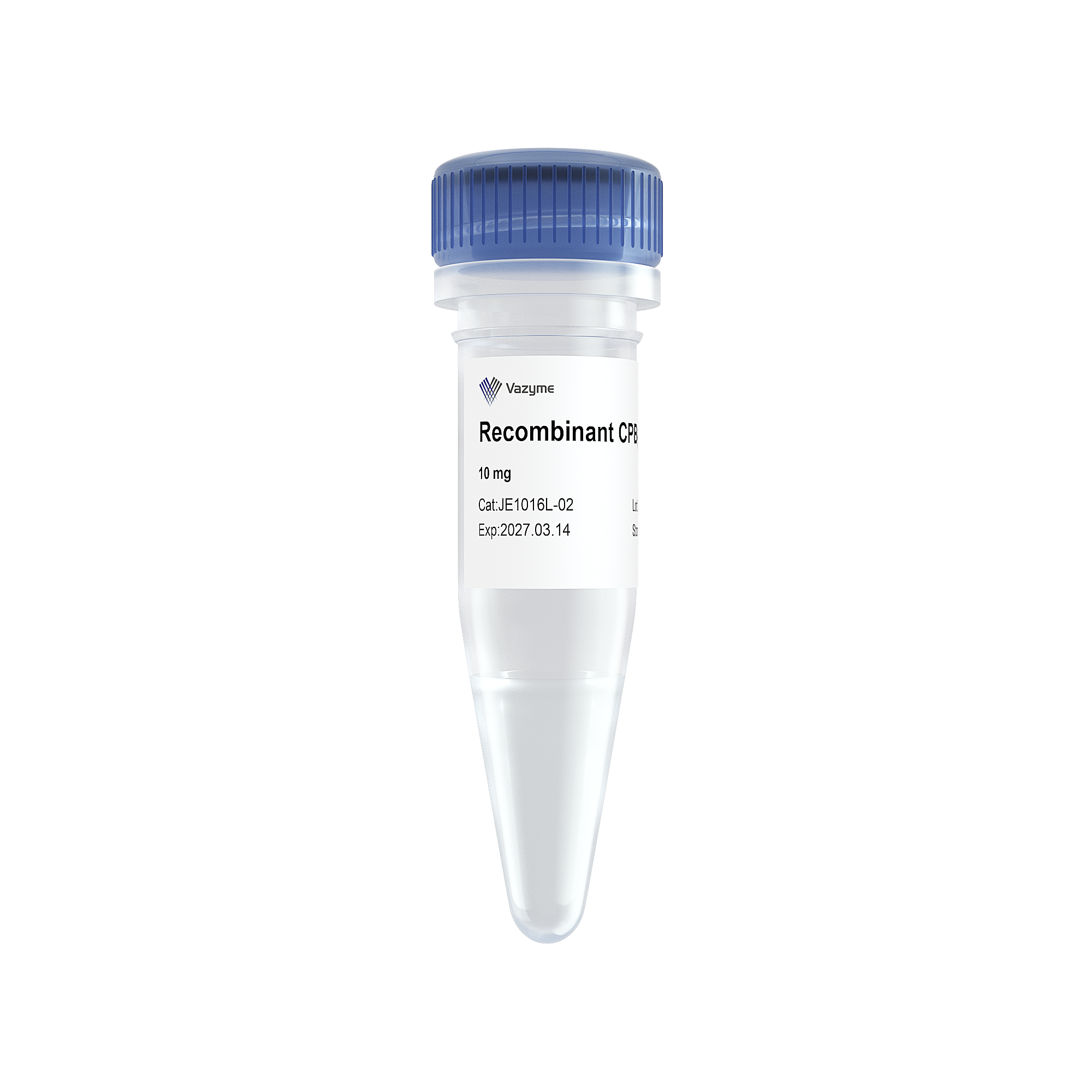 Recombinant Kex2 Protease(冻干粉)