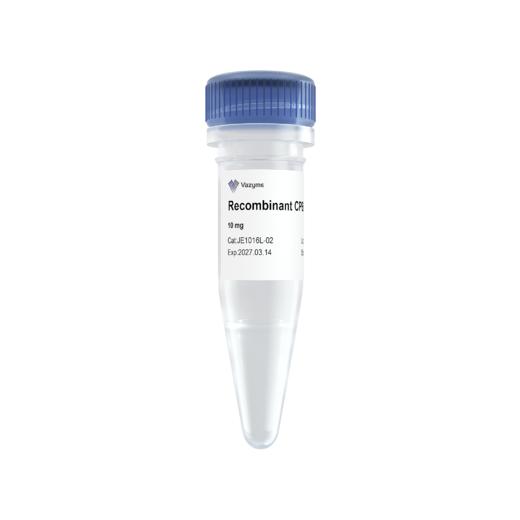 Recombinant Kex2 Protease(冻干粉) 商品图0