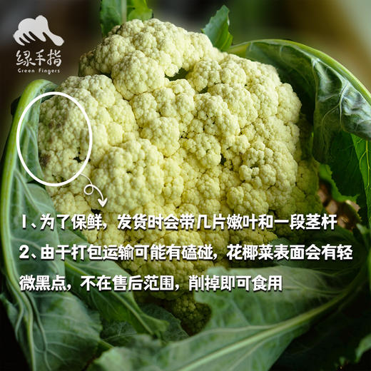 生态花椰菜（白菜花/西兰花）| 合作生产*Ecological Broccoli | Partner Production 商品图1