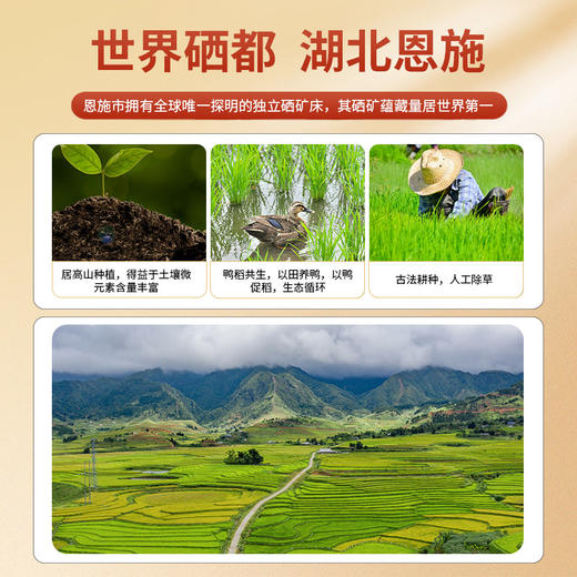 邻家饭香 高山农家香米 5kg FP119 商品图4