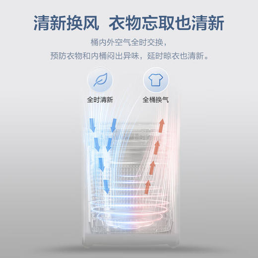 海尔（Haier）8kg波轮洗衣机小型全自动懒人家用 以旧换新 一级能效宿舍出租房 10D0单脱水 商品图7