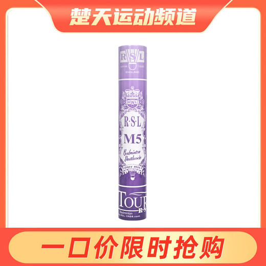 亚狮龙M5耐打鹅毛球羽毛球耐打飞行稳定比赛球 商品图0