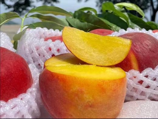 早黄玉·水蜜桃礼盒〔龙泉好礼〕出口级 -  脆甜多汁 非凡品质 -净重4.5斤【水果】 商品图5