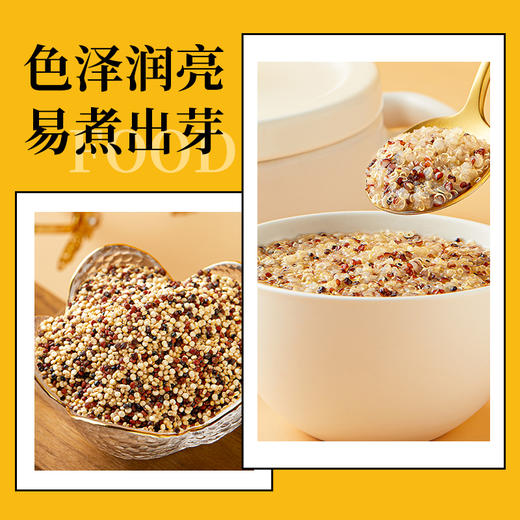 十月稻田 三色藜麦 （藜麦米 藜麦 黎麦 轻食 五谷杂粮 大米伴侣 粥米搭档 真空装）480g 商品图1