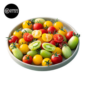 云南多彩小番茄  500g/盒*2盒