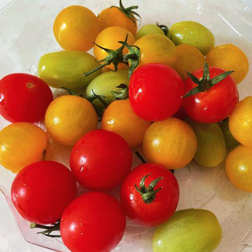 云南多彩小番茄  500g/盒*2盒 商品图3
