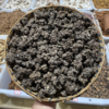 猫爪草 商品缩略图1