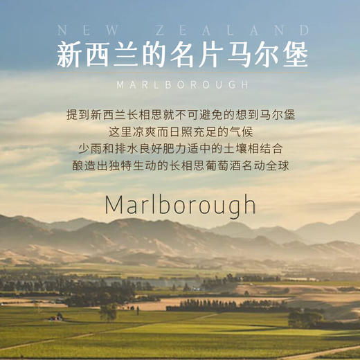 【名师酿造】新西兰原瓶进口马尔堡长相思干白葡萄酒  马尔堡长相思 13%vol 商品图4