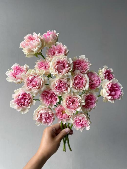 国产小众花材LUV卢浮泡泡多头玫瑰花10支 商品图4