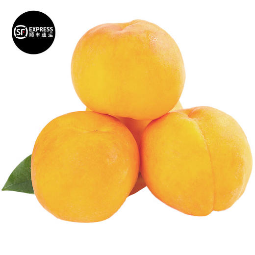 河南黄金蜜黄桃  大果200-350g 商品图0