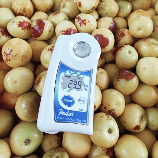 牛奶冬枣，皮薄核小，甜脆多汁，出口标准，现摘现发，72小时顺丰包邮 商品图5