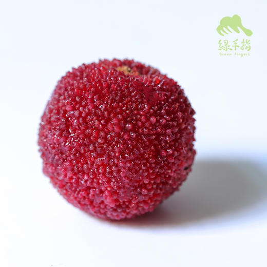生态仙居东魁杨梅 | 合作生产*Eco-waxberry | Coproduction 商品图4