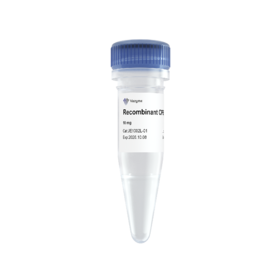 Recombinant CPB（冻干粉）